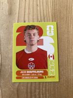 Panini CAN14