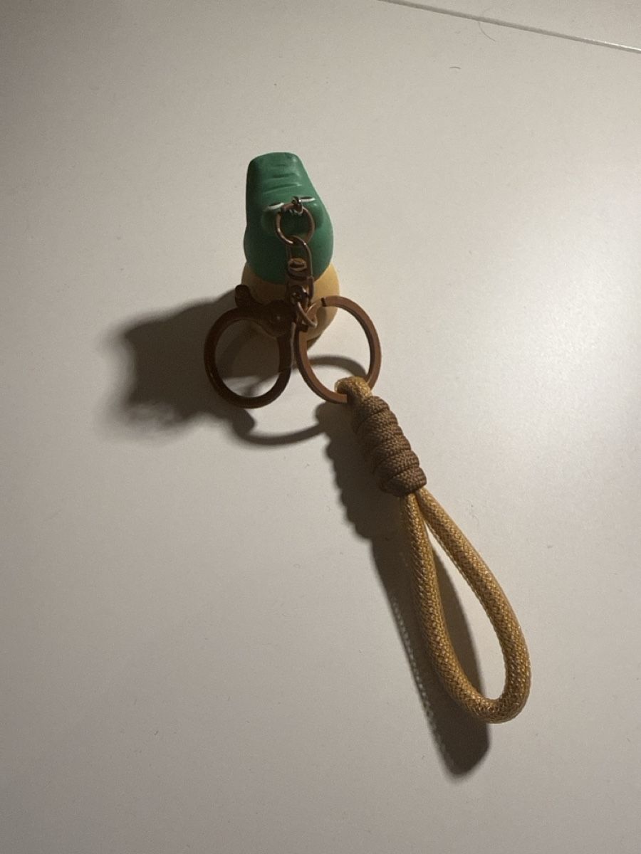 Portachiavi: Capybara keychain – Nuovo (secondo la descrizione) da Schlieren venduto da sharu_02 1