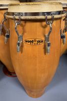 Congas