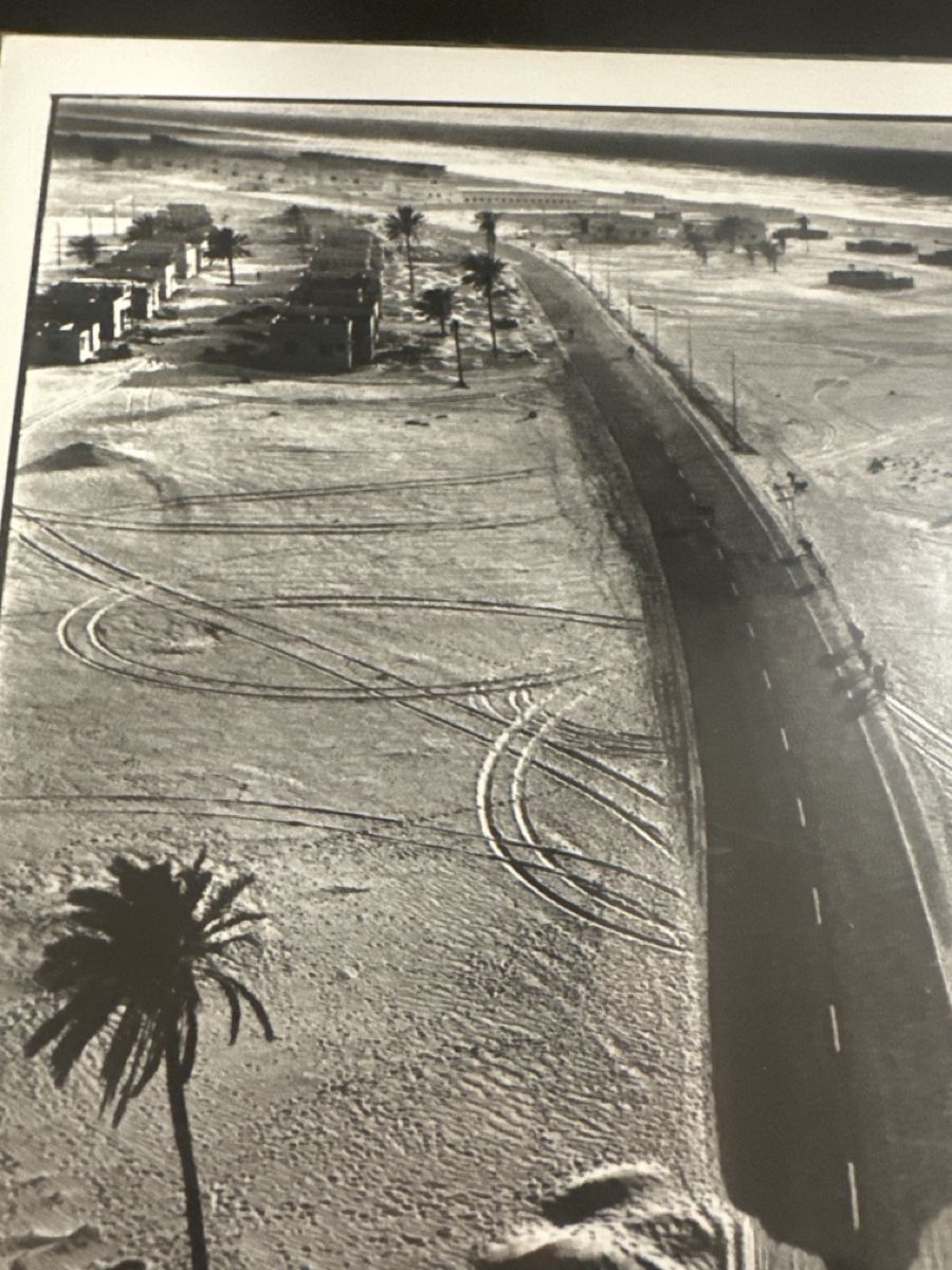 Foto & Immagini: René Burri Foto – Usato da Saanen venduto da Mikeman2 2
