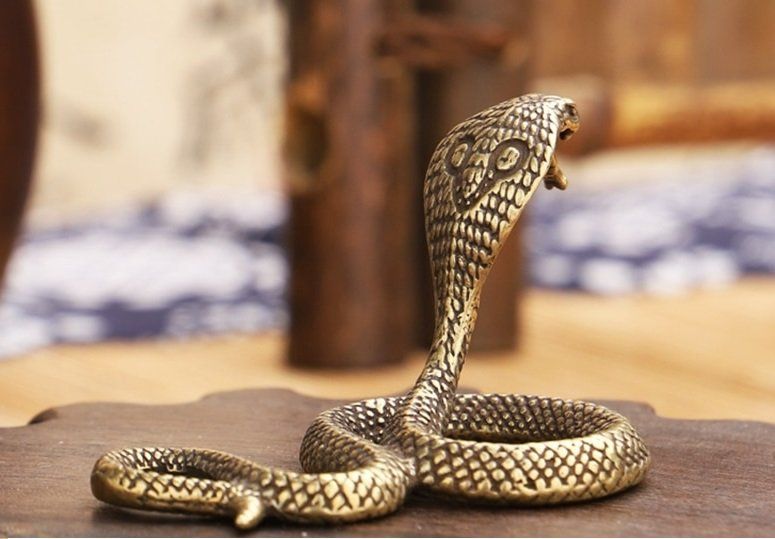 Statuette: Boa Kobra Schlange aus Messing – Nuovo (secondo la descrizione) da Uerkheim venduto da Kaufoption 4