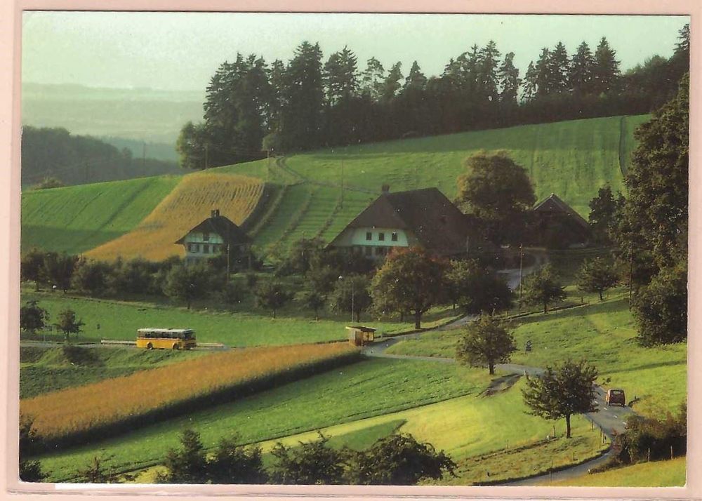 Detligen. Schweizer Reisepost. (Neu (gemäss Beschreibung)) in Horw für ...