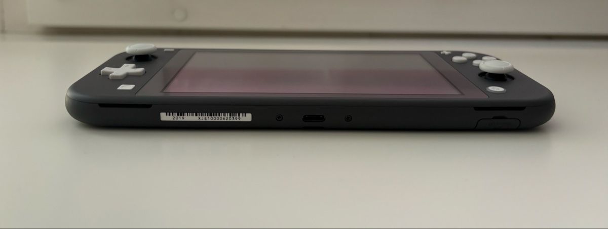 Nintendo Console: Nintendo Switch Lite Konsole Grau mit Netzteil – Nuovo (secondo la descrizione) da Neuhausen am Rheinfall venduto da Arual1214 2