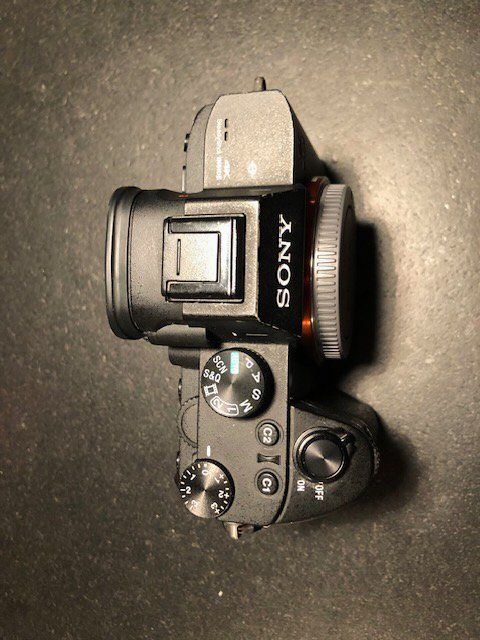 Sony Alpha 7 lll (Gebraucht) in Biel/Bienne für CHF 780 – mit Lieferung ...