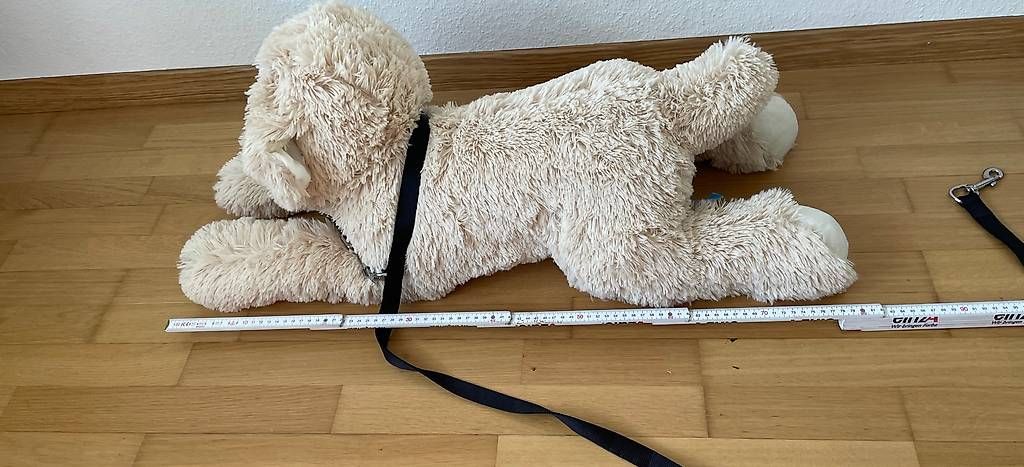 Giocattoli: Plüschhund gross – Usato da Schaffhausen venduto da chr_h86k 3