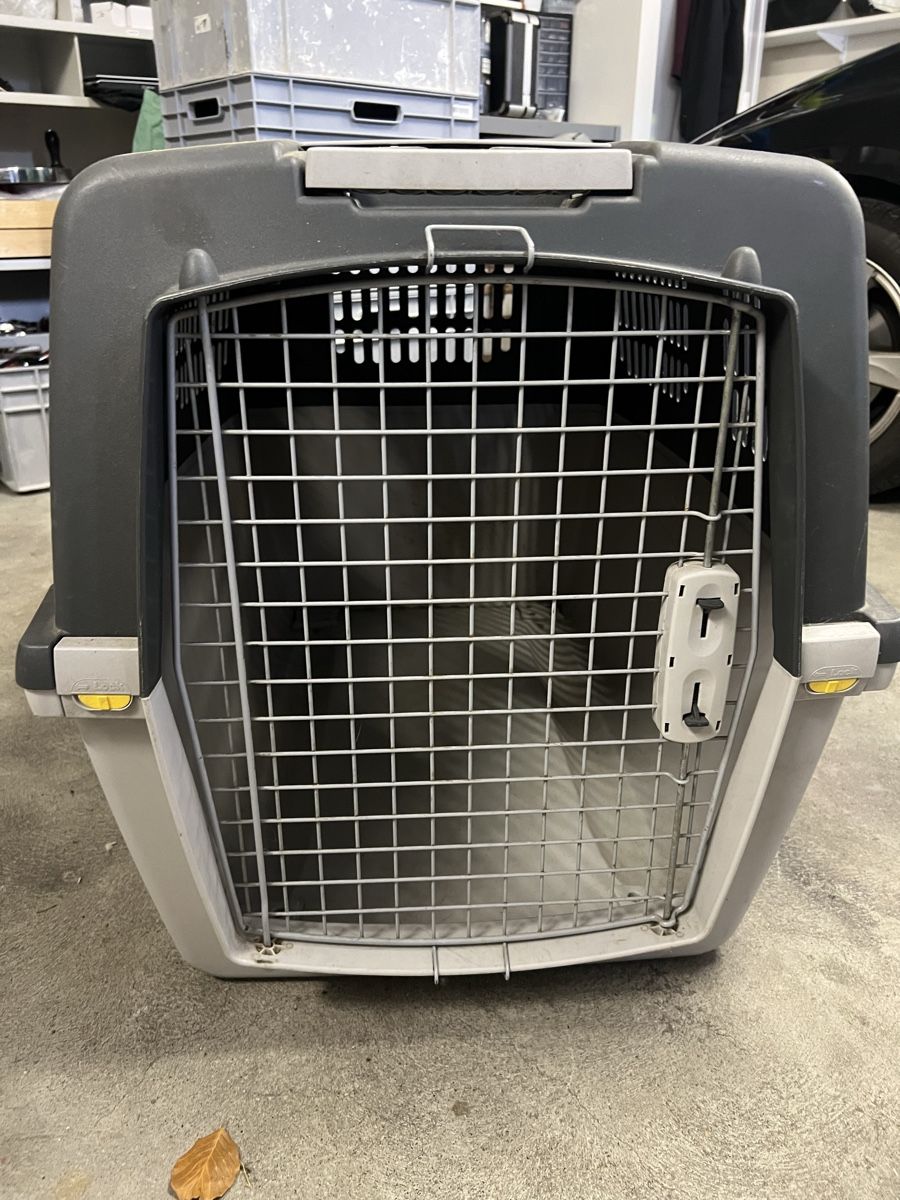 Gabbie, trasporto & Sicurezza: Grosse, robuste Hunde Transportbox für Auto oder Reise. – Usato da Fehraltorf venduto da flo0606 1
