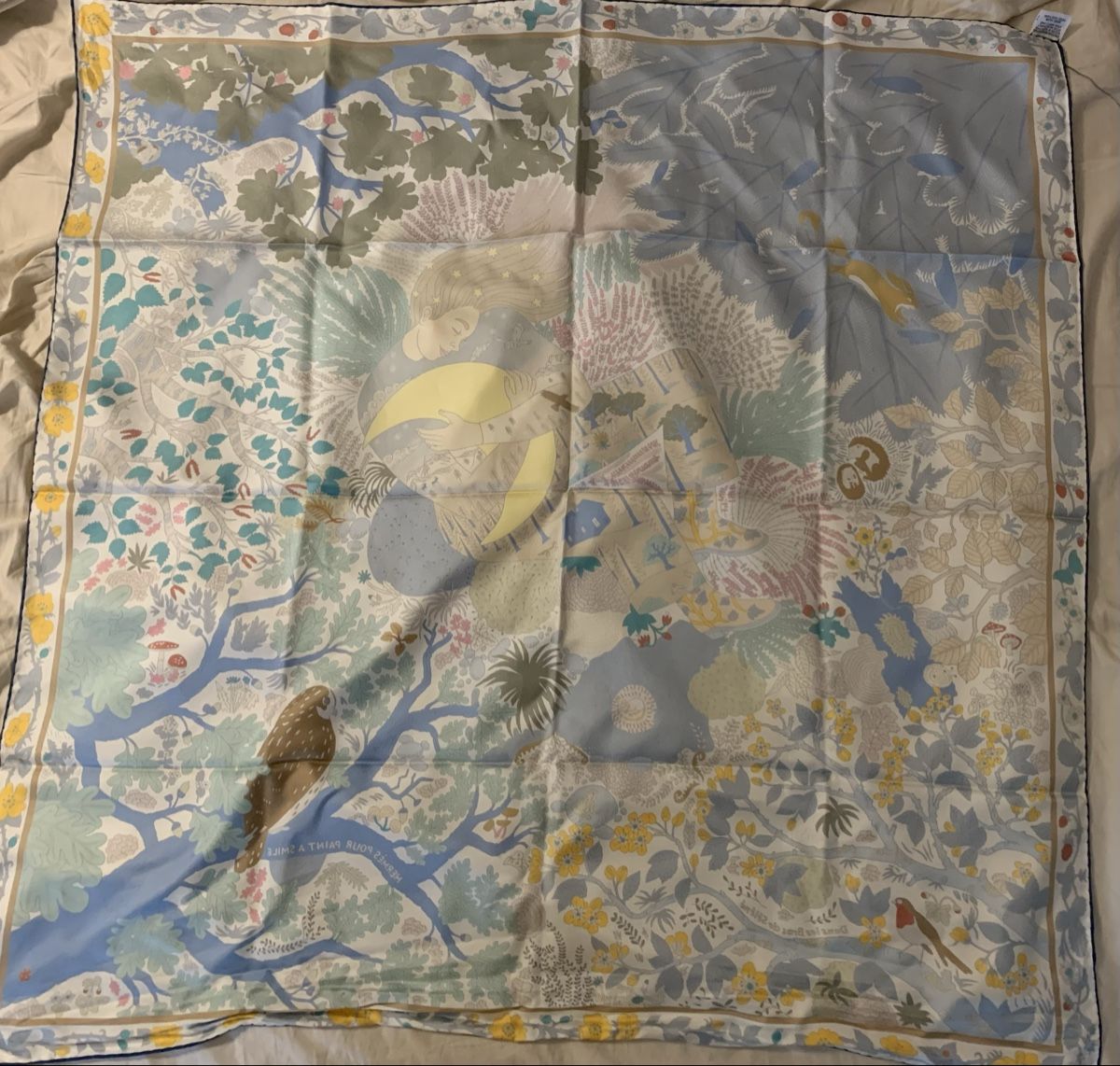 Hermès Foulard & Sciarpe: Hermes silk scarf - special edition – Usato da Brugg AG venduto da Lovelux73 1
