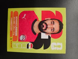 EGY 14