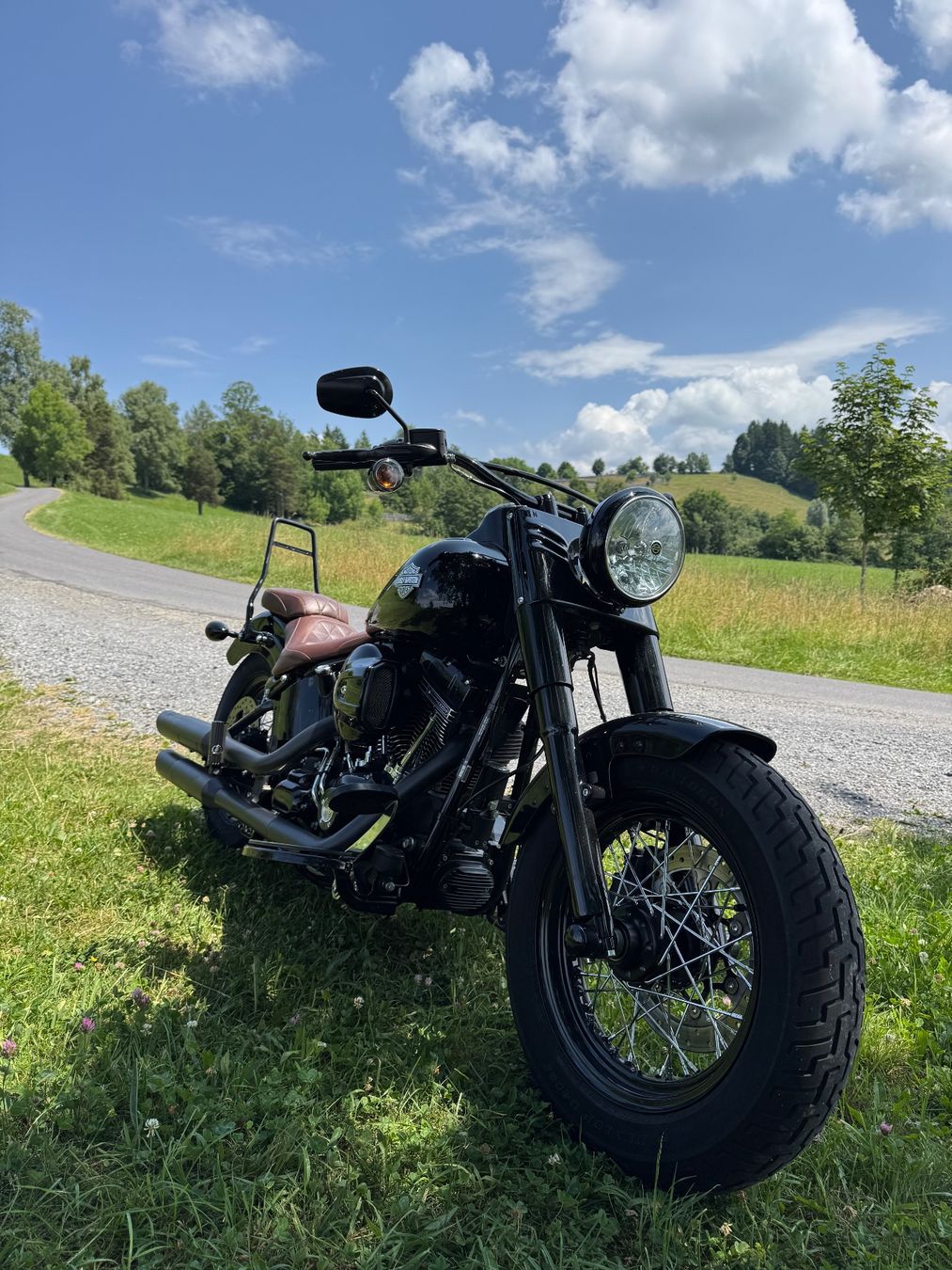Harley-Davidson Chopper: Harley Softail Slim S110 FLSS – Usato da Buonas venduto da Mikesteal 1