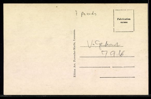 Cartoline postali: AK Lausanne, Palace et Beau Site – Usato da Berlin venduto da bartko-reher 1