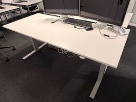 OMT Bürotisch (Lot 143) 8304 Wallisellen