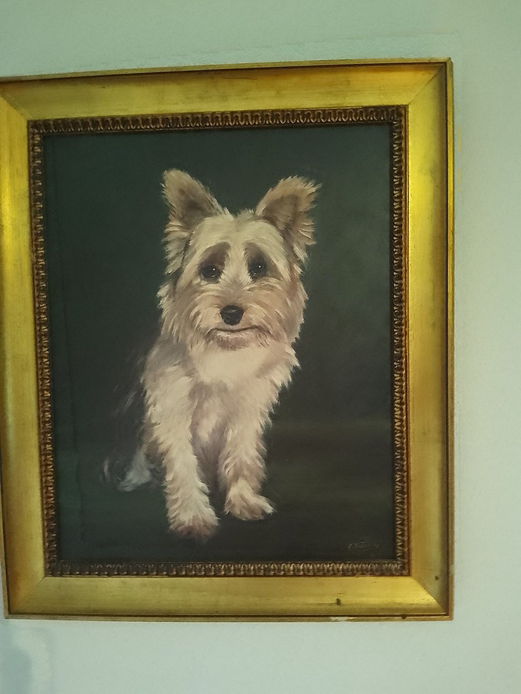 Gemälde: Ölgemälde "Yorkshire Terrier", signiert, gerahmt. – Gebraucht aus Egg b. Zürich von egres50