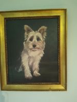 Ölgemälde "Yorkshire Terrier", signiert, gerahmt.