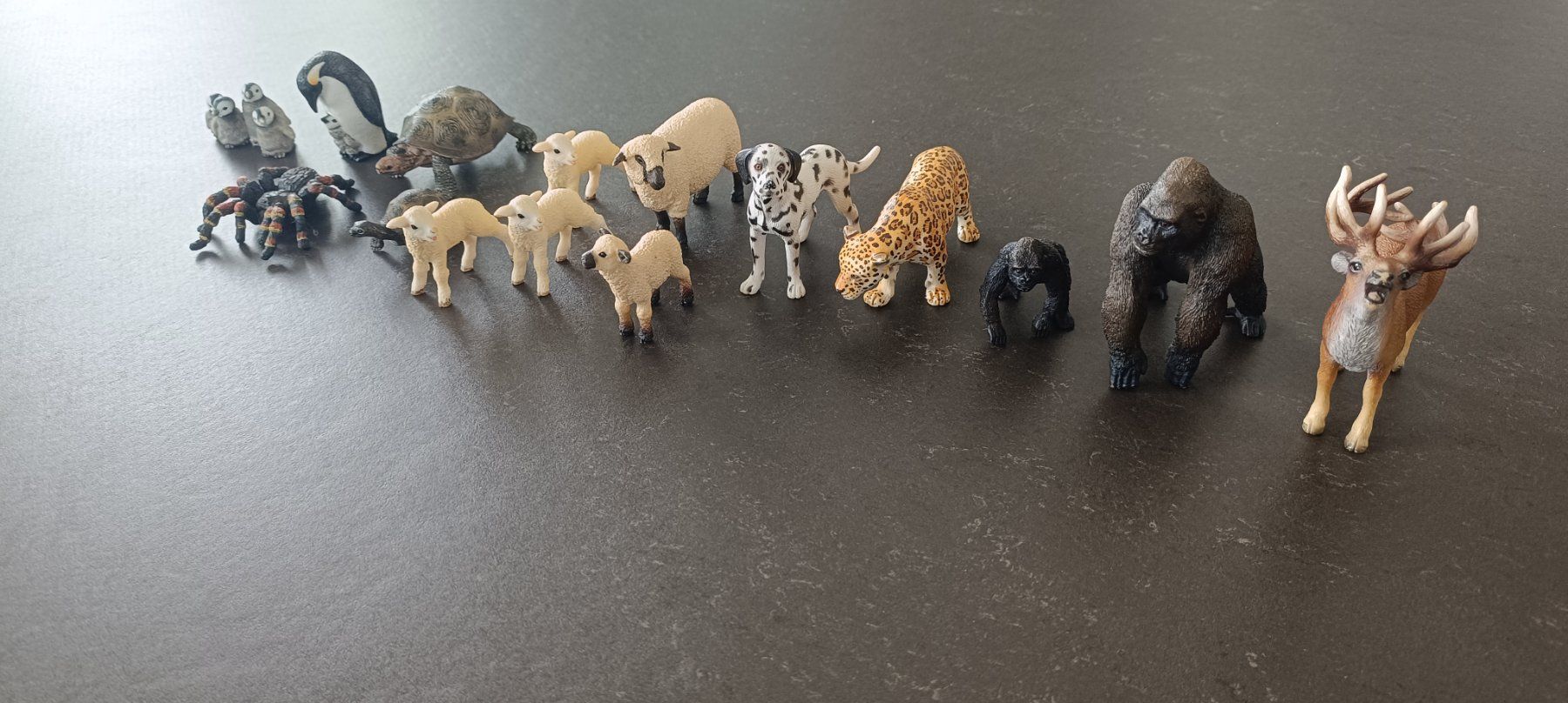 Schleich Giocattoli: Diverse Schleich Tiere – Usato da Faoug venduto da Palm0 1
