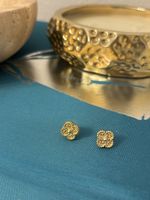 Earrings in Gold Colour