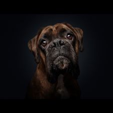 Profile image of MrsBlack