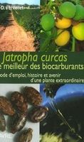 Jatropha Curcas - le meilleur des biocarburants