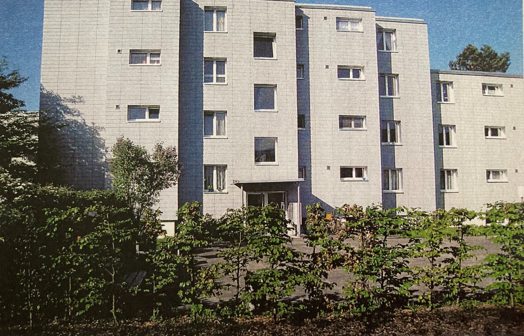 Plateaux: Kunstharzplatten 540 m2 – Neuf (Voir description) à Rombach par bur_c52k