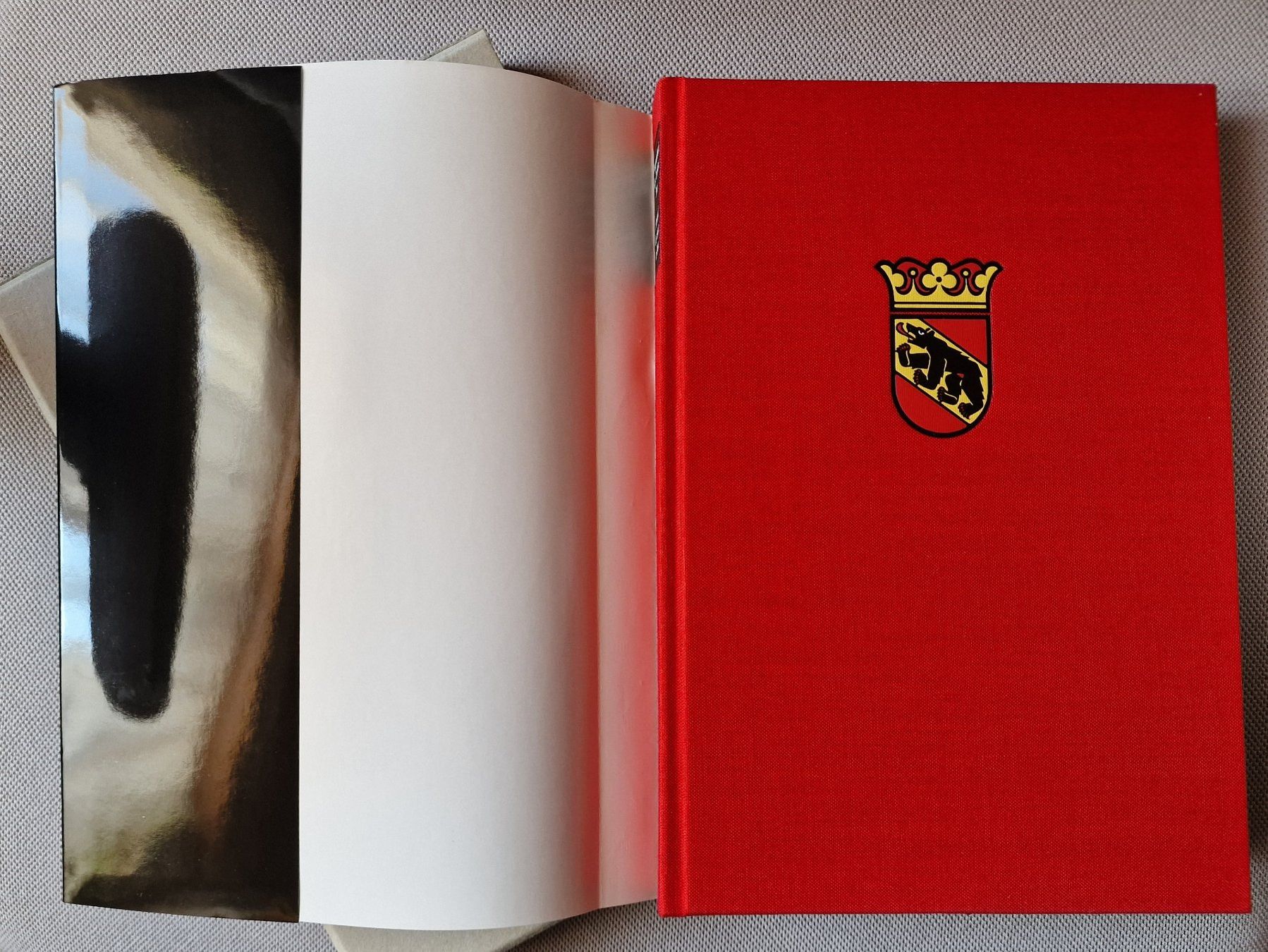 Libri: Wappenbuch des Kantons Bern – Nuovo (secondo la descrizione) da Röthenbach i. E. venduto da Heureka5 1