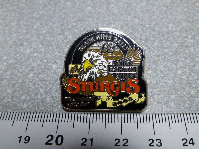 Placchette & Badge: PIN PINS HARLEY DAVIDSON HOG ABZEICHEN CHAPTER – Usato da Gränichen venduto da Jumbo77