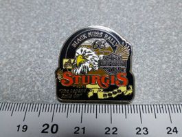 PIN PINS HARLEY DAVIDSON HOG ABZEICHEN CHAPTER