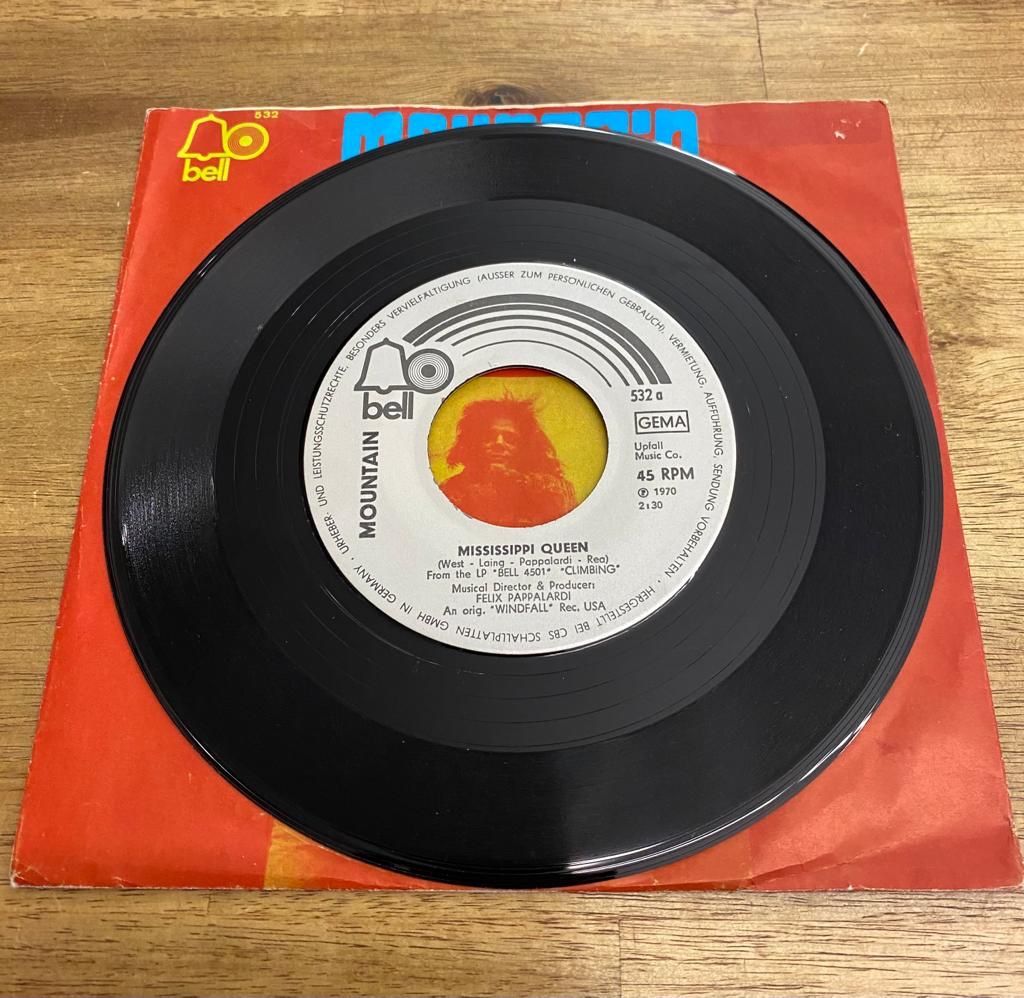 Dischi in vinile: Mountain Mississippi Queen Single – Usato da Belp venduto da B7L0 2