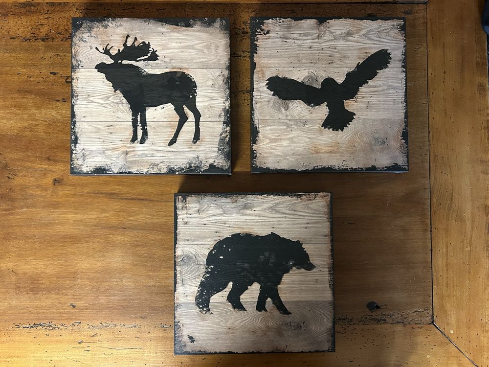 Foto & Immagini: 3er Set Wandbilder Holzoptik Hirsch Bär Vogel Deko von Ikea – Usato da Agriswil venduto da Mafi_69