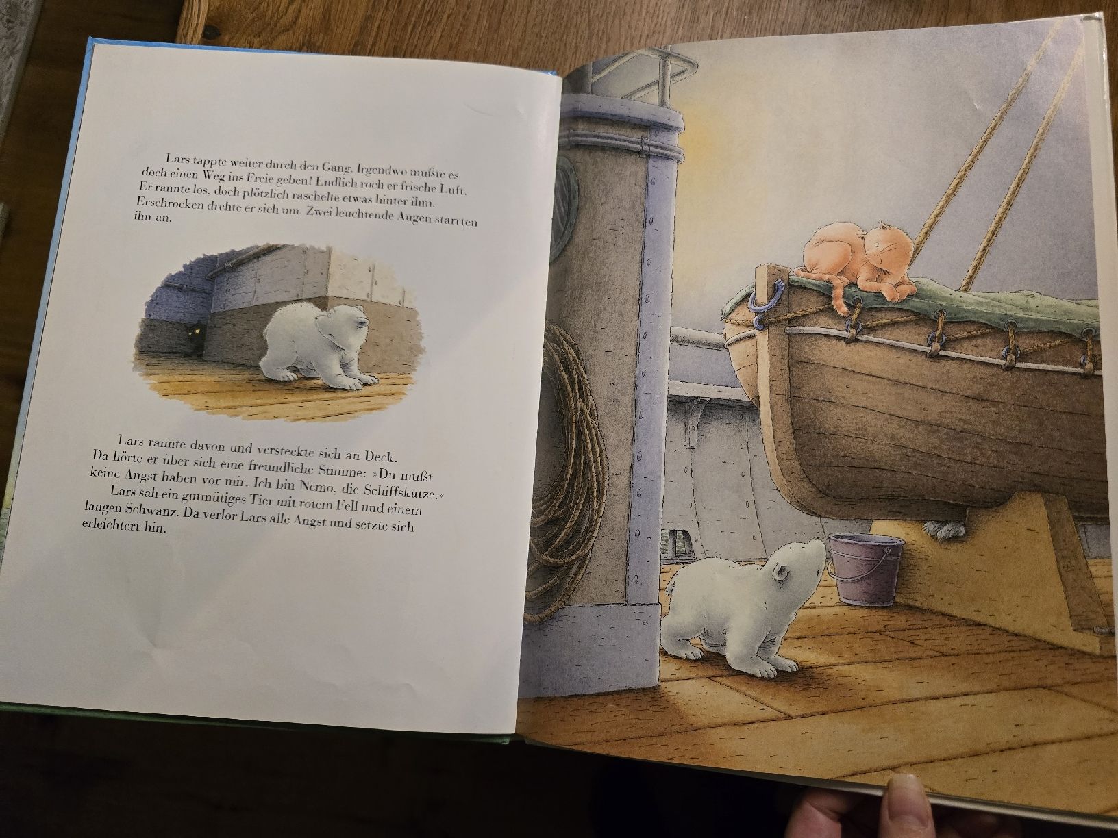 Libri: 3 Kleine Eisbär Bücher Hans de Beer set – Usato da Wittenbach venduto da Tigerlili 3