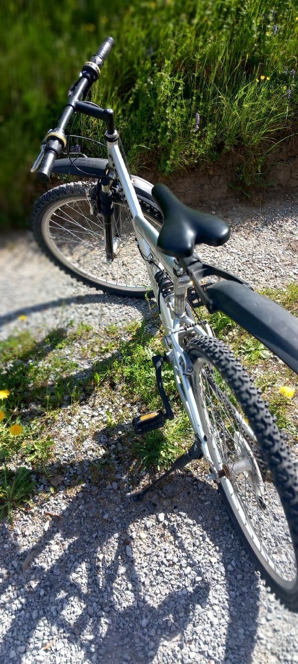 Fischer Biciclette: Fischer Mountainbike Silber – Usato da Ebnat-Kappel venduto da blazzi 2