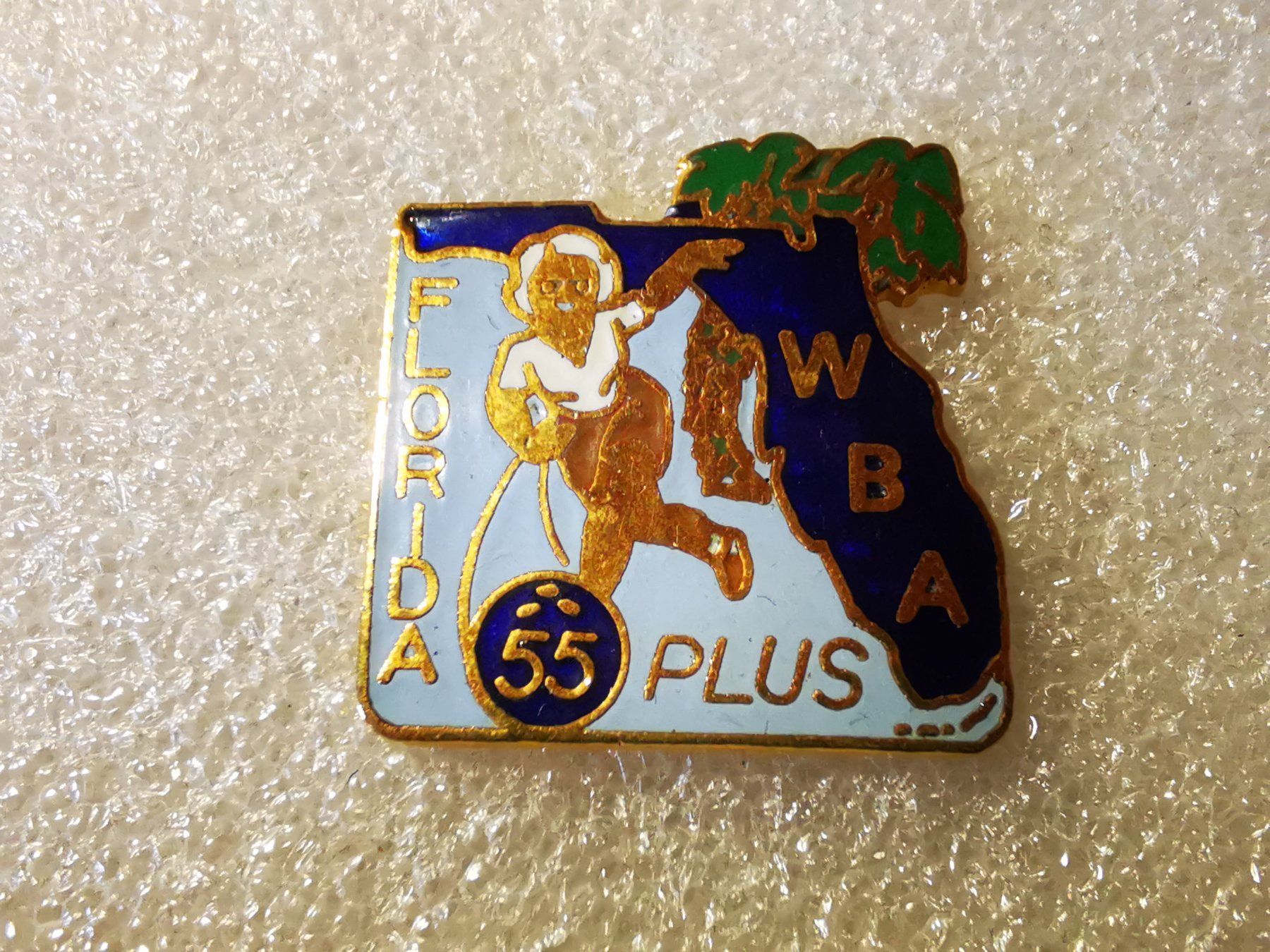 Plaketten & Abzeichen: Ansteckpin 140: Florida 55 Plus – Gebraucht aus Oppligen von Pin-Fall-Shop