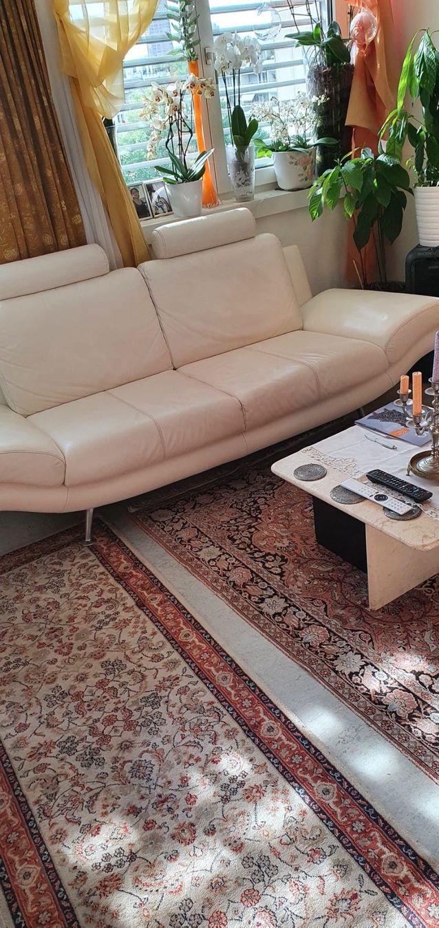 Divani: Zwei leder Sofa – Usato da Zürich venduto da ovi_5hfh 1