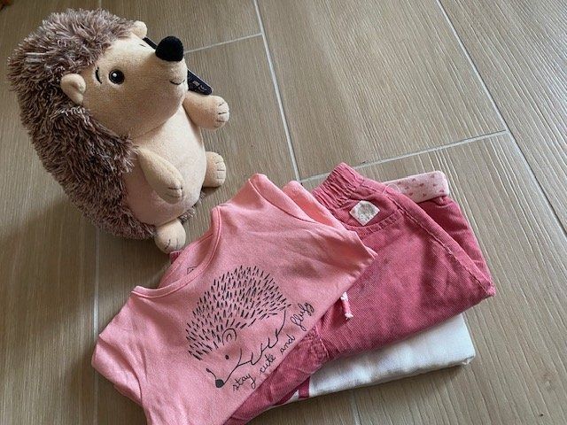 Lotti & Set di vestiti: neues Baby Set Gr. 62 "Igeli" – Nuovo (secondo la descrizione) da Staufen venduto da Nasli 2