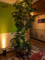 Grosser Kunstbaum mit Topf und Blumen für Innen
59