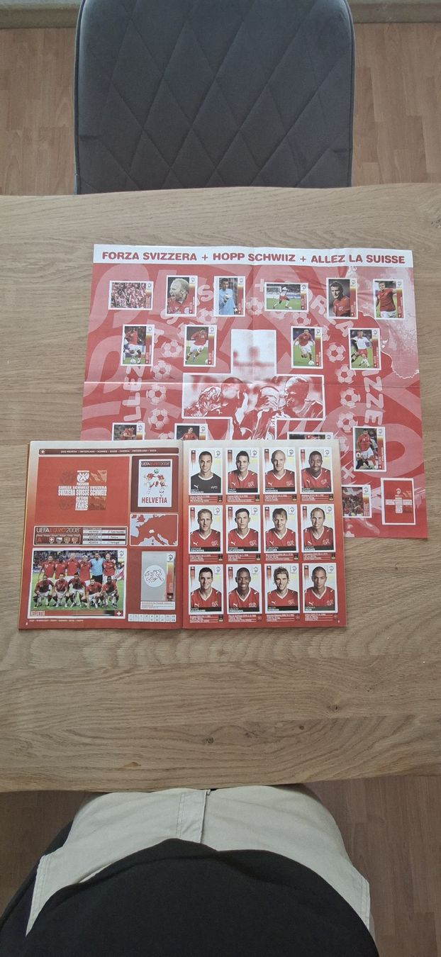 Panini Album: EM 2008 Panini Album vollständig – Nuovo (secondo la descrizione) da Buchs ZH venduto da GRE_11 2