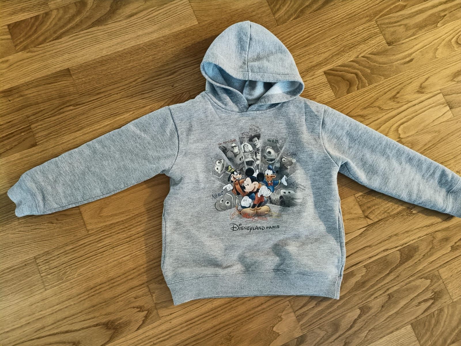 Maglioni & Felpe: Disney Pullover Grösse 104/110 – Usato da Muri AG venduto da Mupuputs