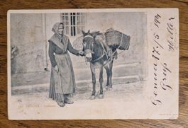 Frau mit Maultier 1901 v. Genua n.Luzern z. Muff Uhrenmacher