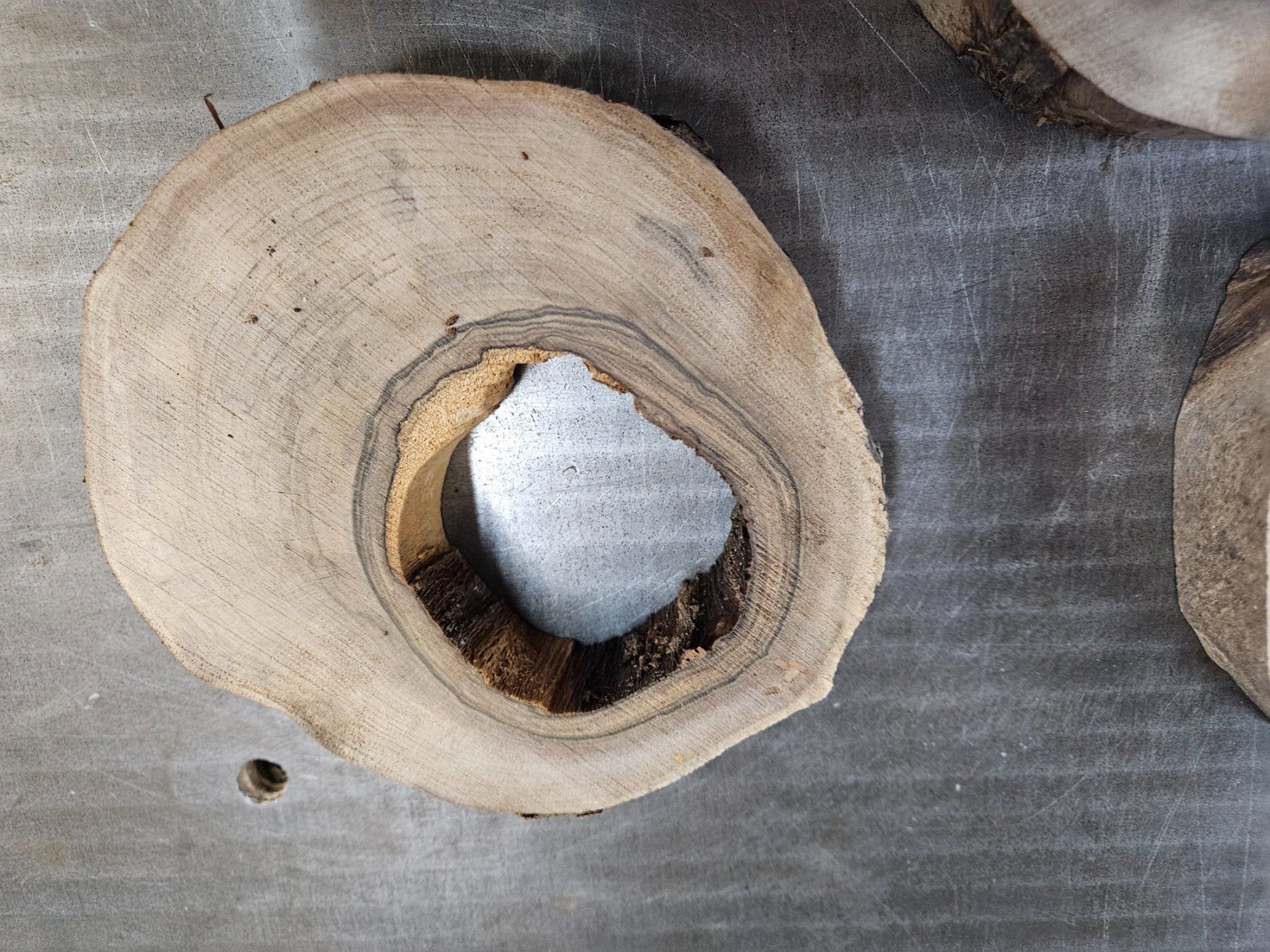 Articoli in legno: Nussabum Holz Baumscheiben – Nuovo (secondo la descrizione) da Schangnau venduto da egli6.2 6