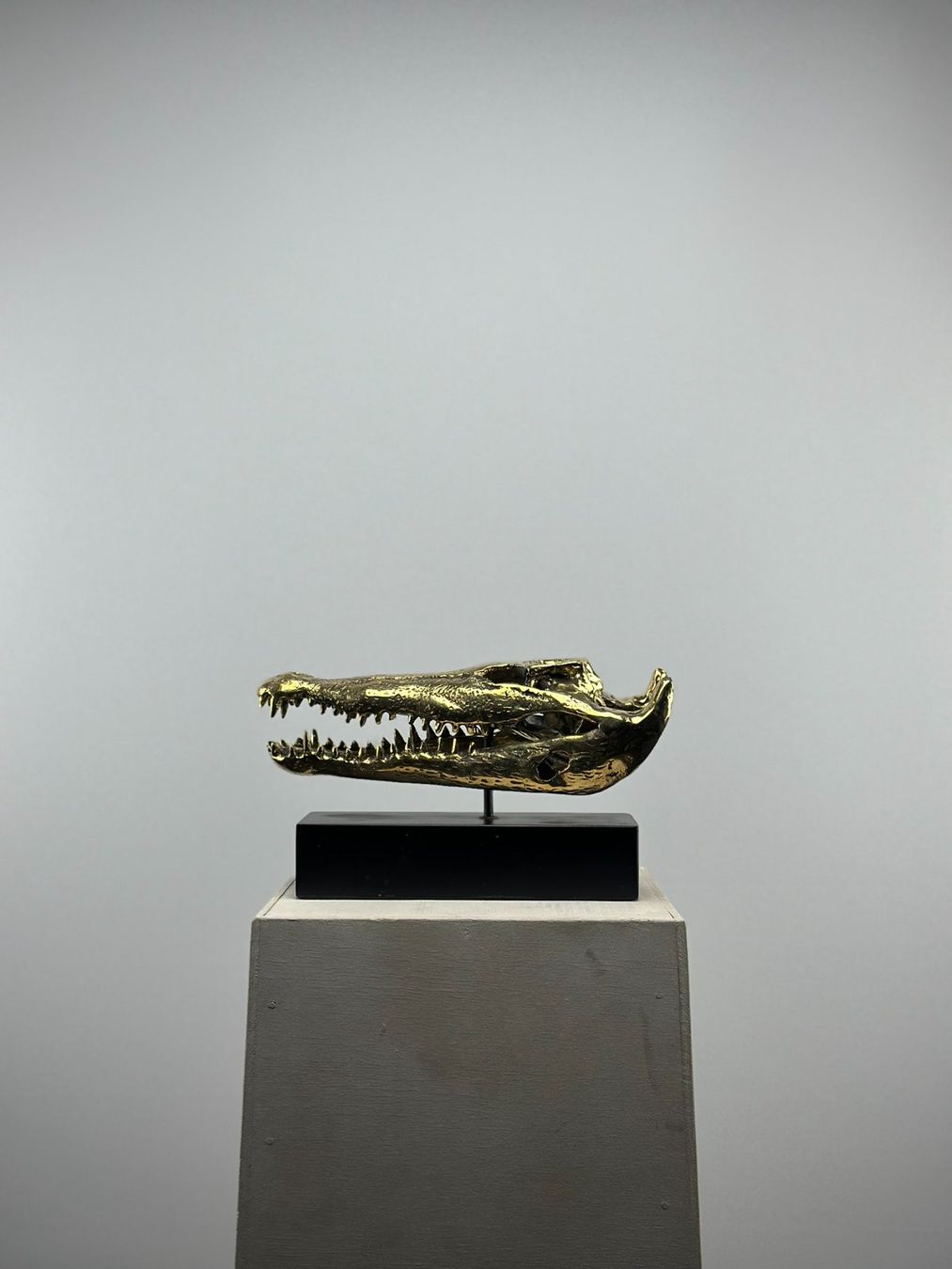 Skulpturen & Statuen: Crâne de Crocodile en Bronze 23 cm – Neu (gemäss Beschreibung) aus Lausanne von Toko_Lausanne 3