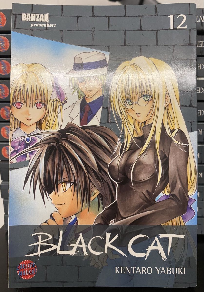 Fumetti: Black Cat Manga – Usato da Schleinikon venduto da kar_8ww7 1