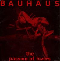 Bauhaus – The Passion Of Lovers