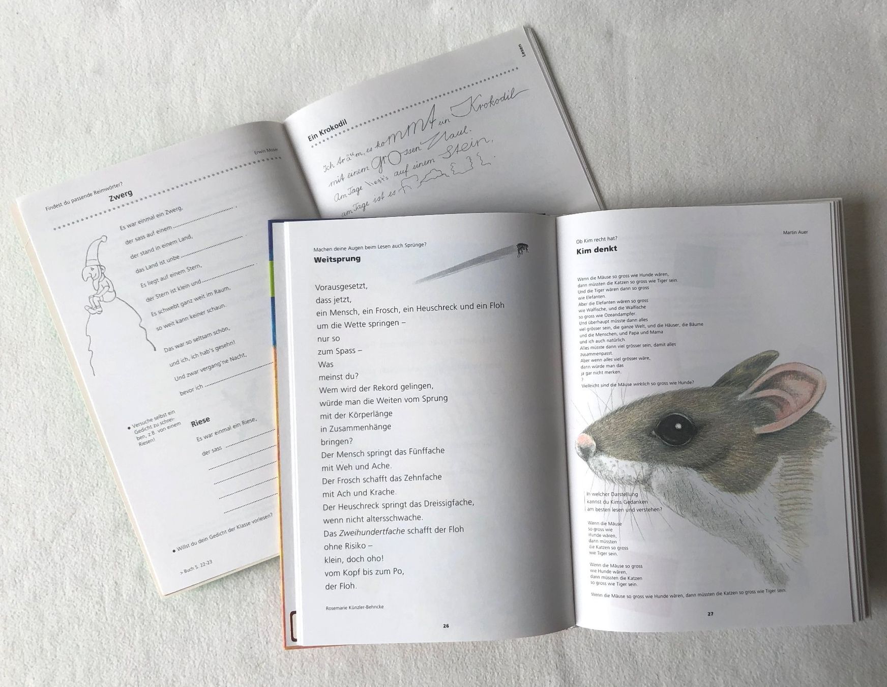 Libri: Schweizer Sprachbuch 4 mit Arbeitsheft – Usato da St.Gallen venduto da Paddington11 2