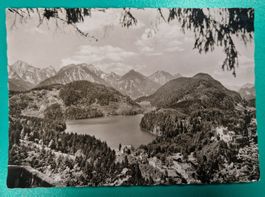 Blick von der Jugend mit Notopfer-Steuermarke 1954