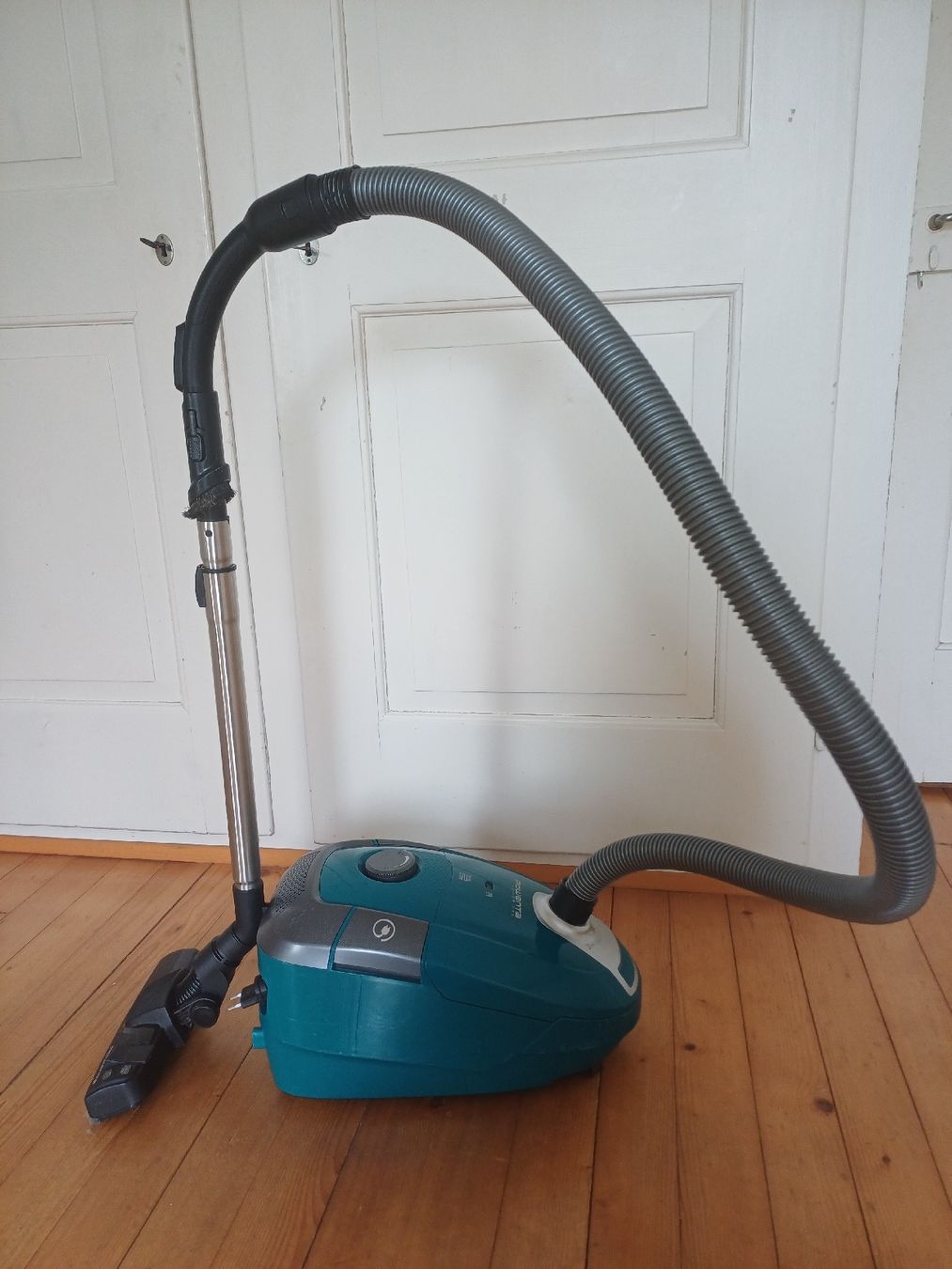 Rowenta Aspirapolveri & Accessori: Rowenta Staubsauger RO3142 Power XXL – Usato da Baden venduto da hakais