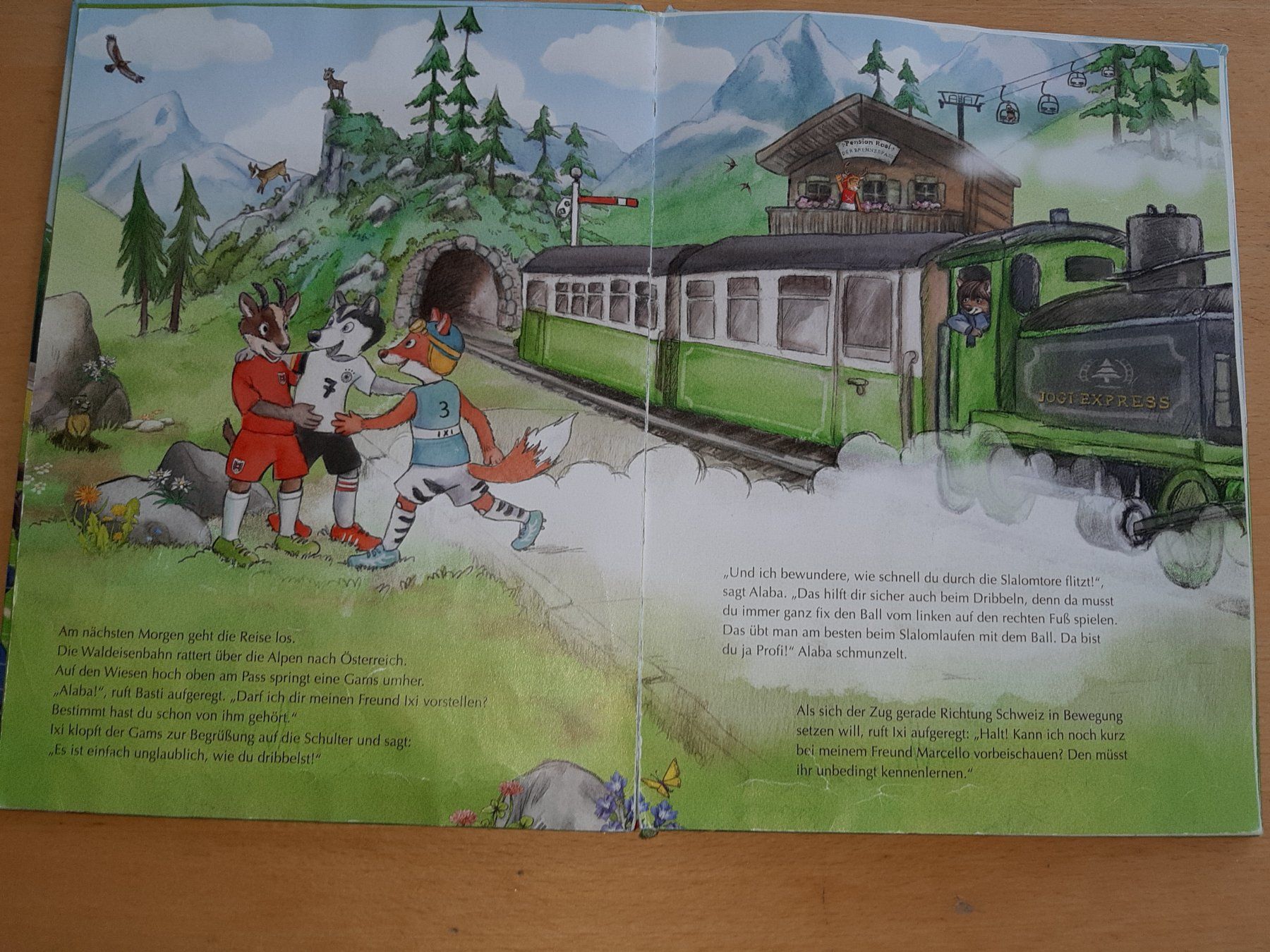 Libri: Fussballfieber - Kinderbuch – Usato da Rotkreuz venduto da nigal 2