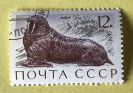 Briefmarken aus Sowjetunion (CCCP) gestempelt Siehe Original