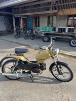 Sachs 503