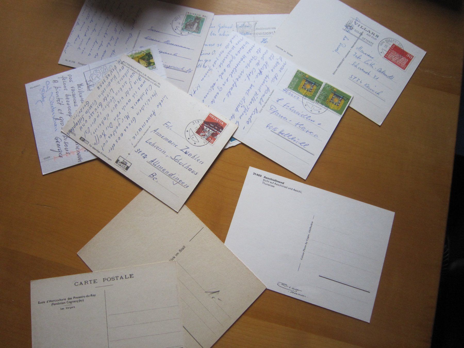 Cartoline postali: No 17 schöne Postkarten Kühen – Usato da Gordola venduto da Polentaefung 7