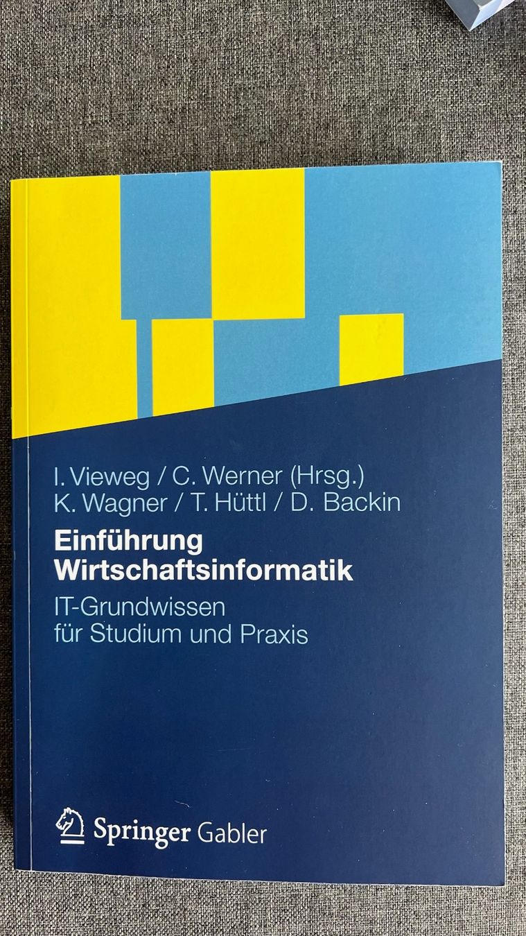 Libri: Einführung Wirtschaftsinformatik – Usato da Bern venduto da min_x5b5