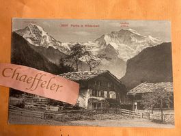 9910 Partie in Wilderswil