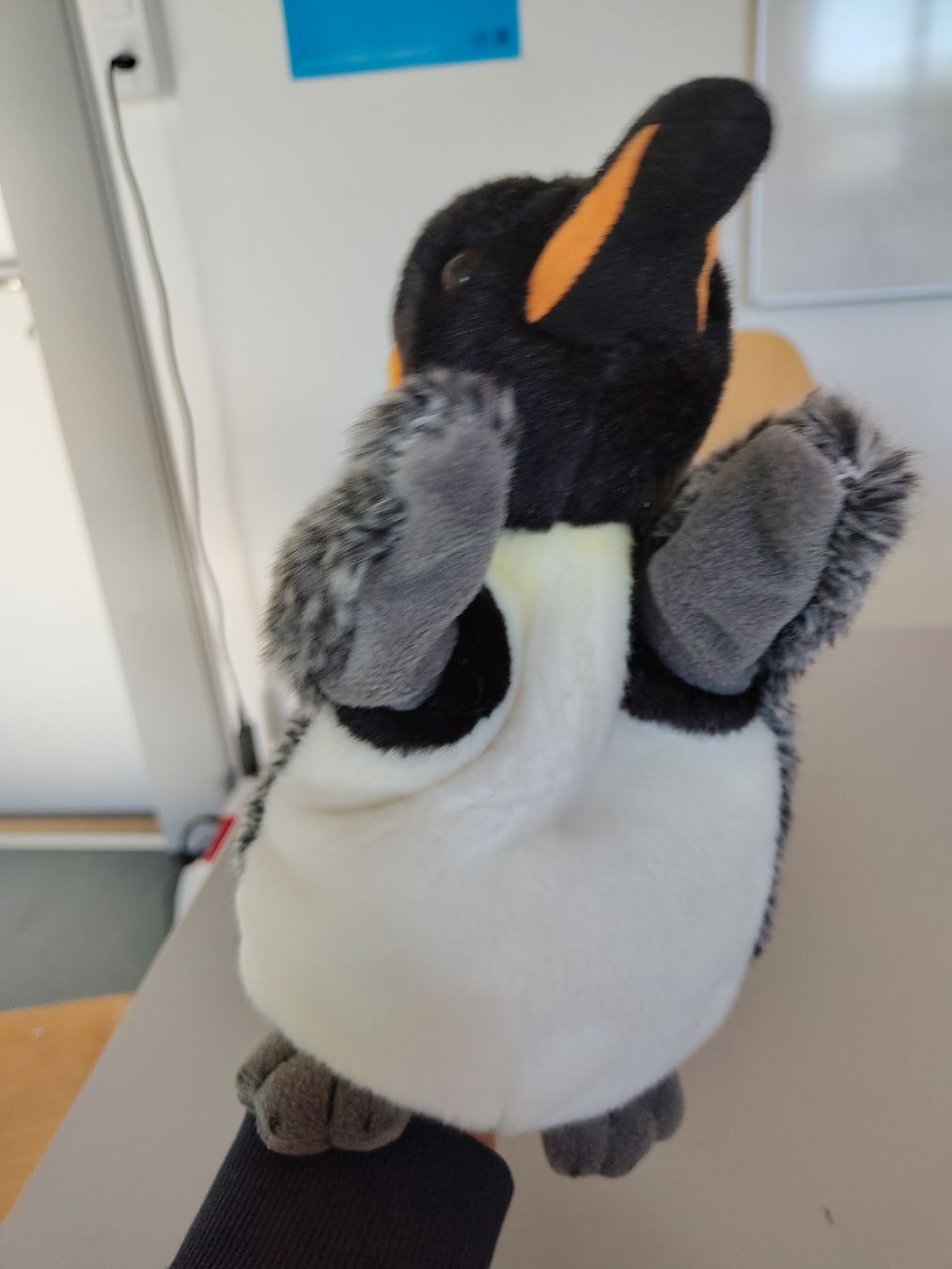 Spielzeuge: Handpuppe Pinguin – Gebraucht aus Bern von mwa_xj5p